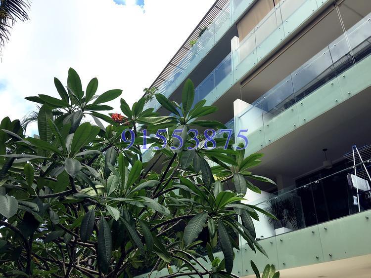 The Peak@Balmeg (D5), Condominium #121582952